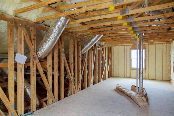 Best Residential Insulation in Palestine, TX