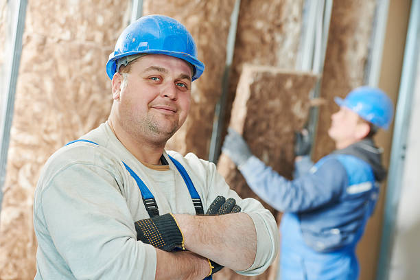 Best Cellulose Insulation in Palestine, TX